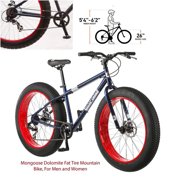 fat tire cruiser bike